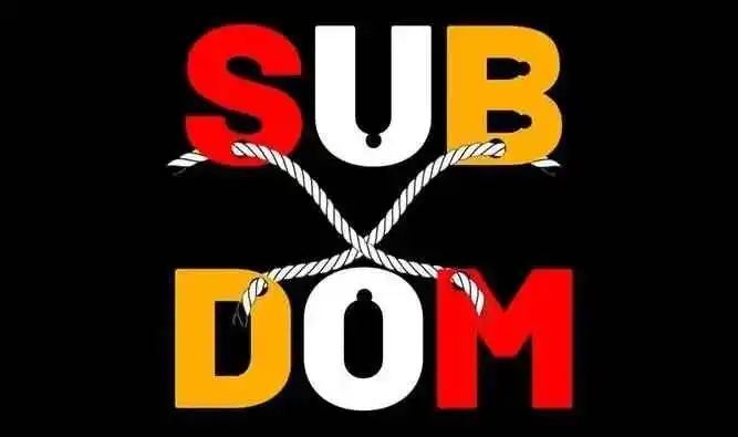 西檬之家-字母圈Dom是什么意思？新人入圈必读指南