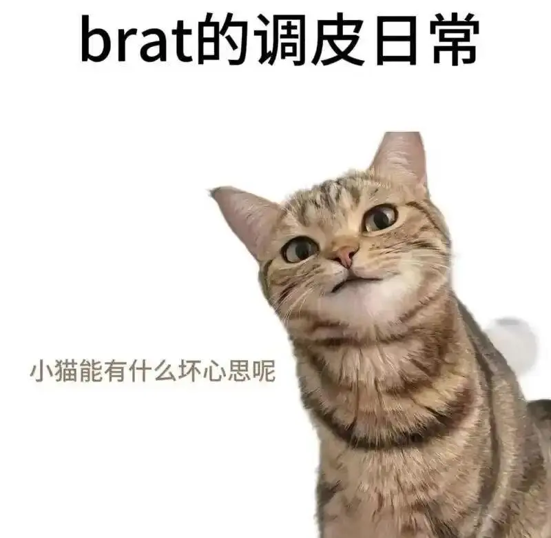 西檬之家-字母圈BDSM核心术语解析