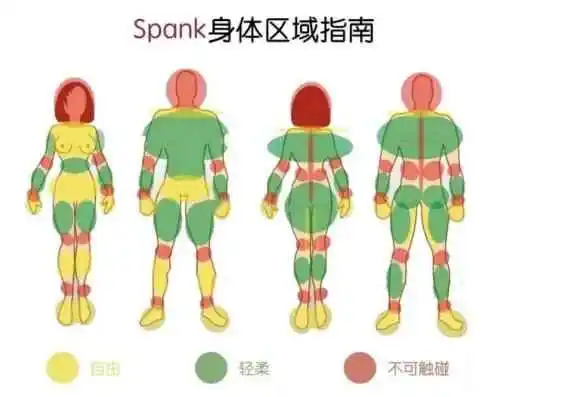 西檬之家-字母圈的BD是什么？新人指南解析