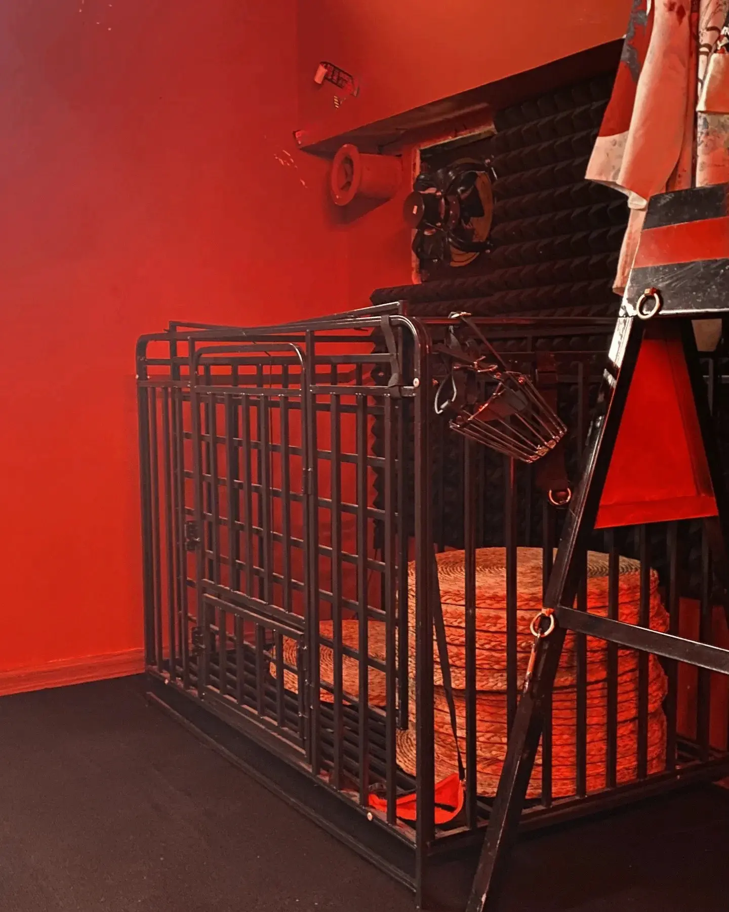 西檬之家-字母圈新人入门指南：BDSM核心术语与实践原则