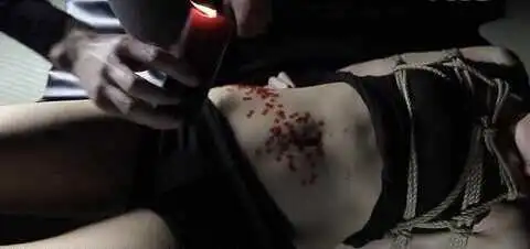 西檬之家-Sub是什么？新手必须了解的BDSM基础知识