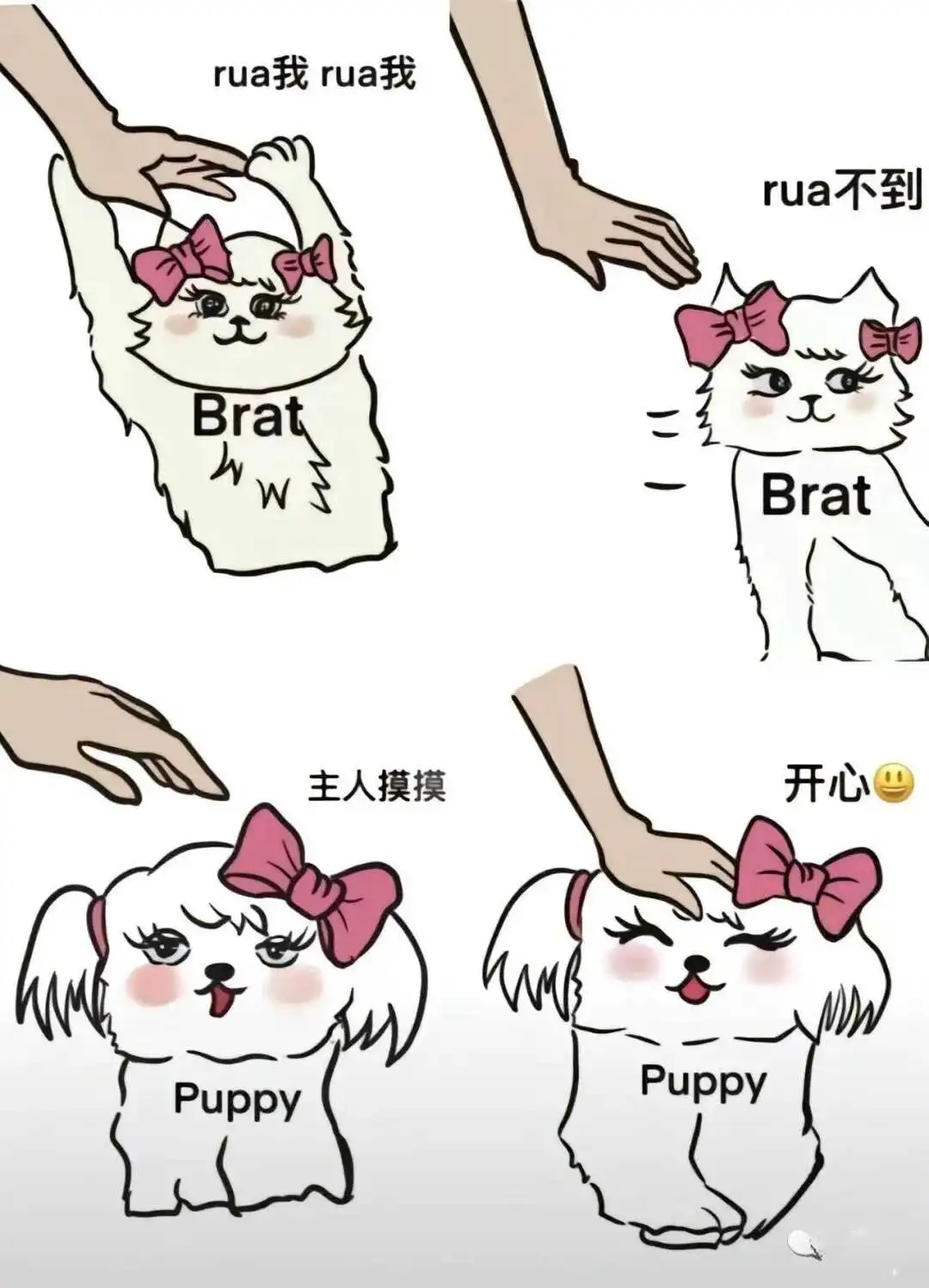 【西檬之家】TK是什么？字母圈新人必知的轻互动指南
