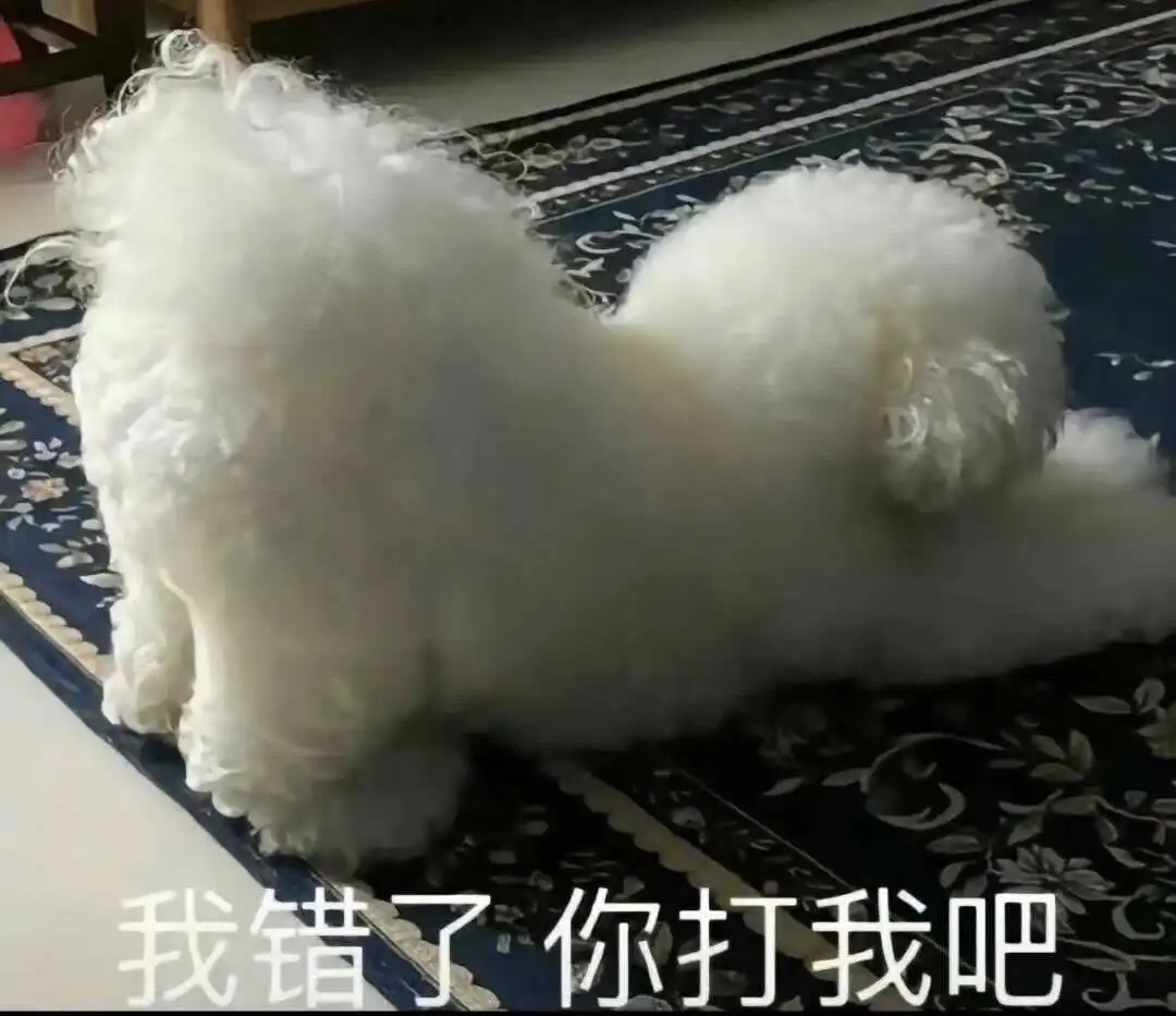 欢迎来到西檬之家的BDSM世界