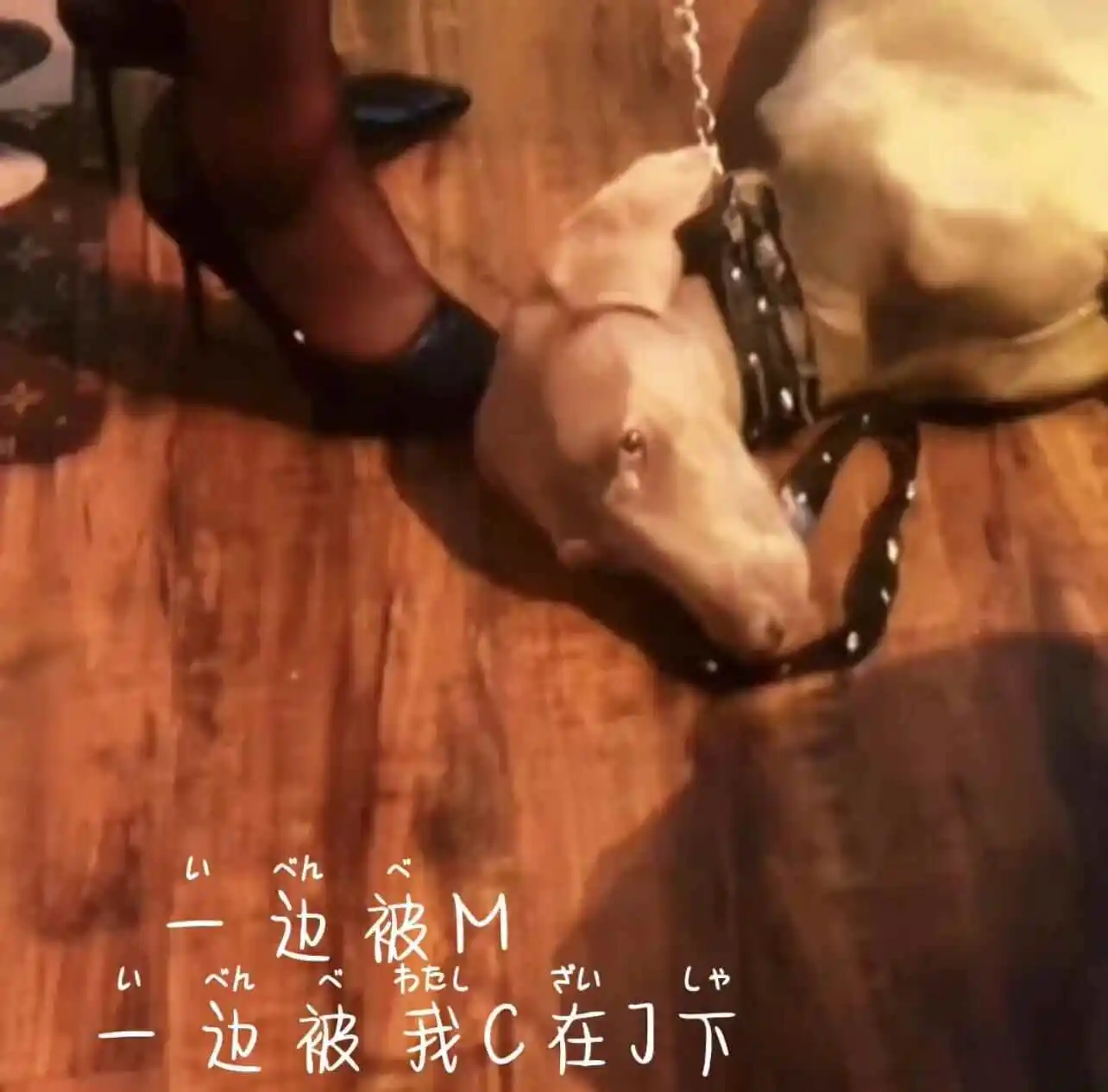 西檬之家-恋足癖是什么？BDSM字母圈新人入圈指南