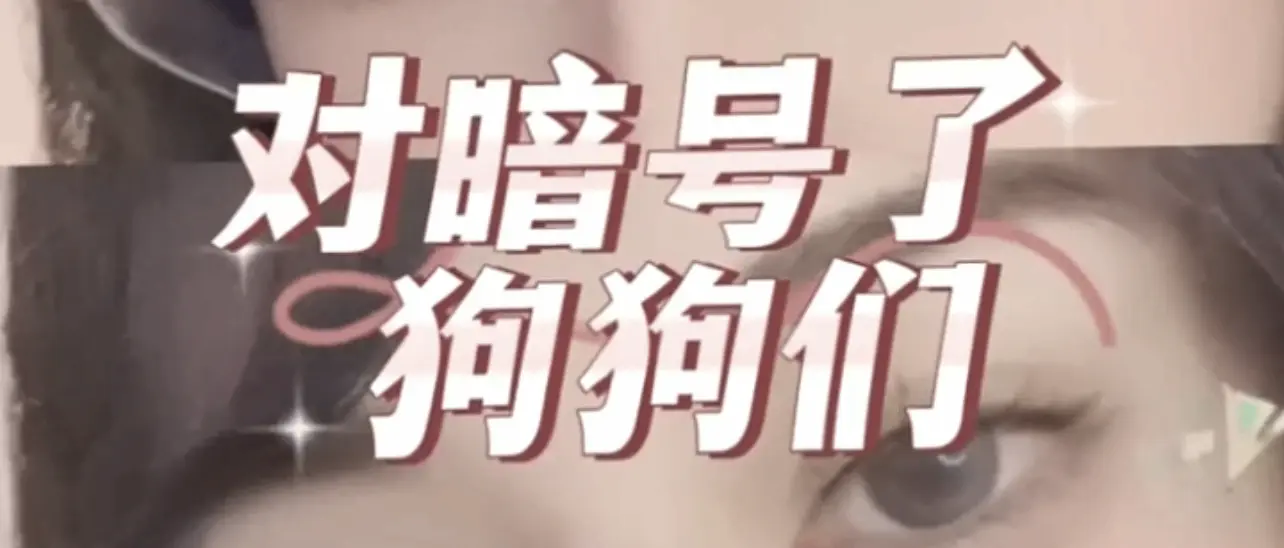 西檬之家-字母圈新人入圈指南：从理解BDSM基础术语到安全实践