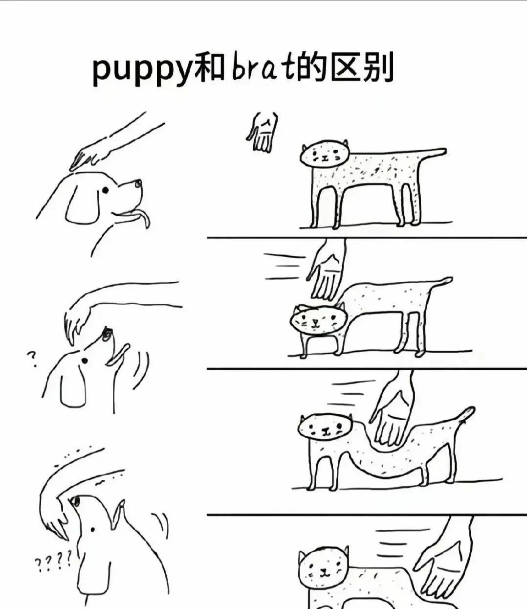 西檬之家-字母圈SP实践指南